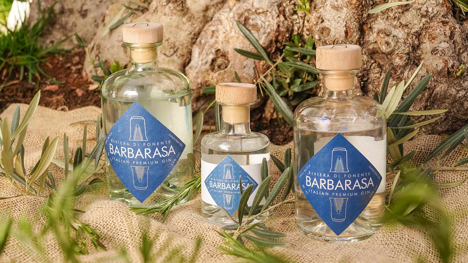 Barbarasa Gin