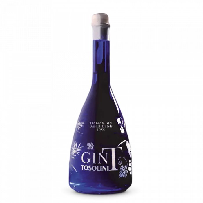 Bepi Tosolini GinT