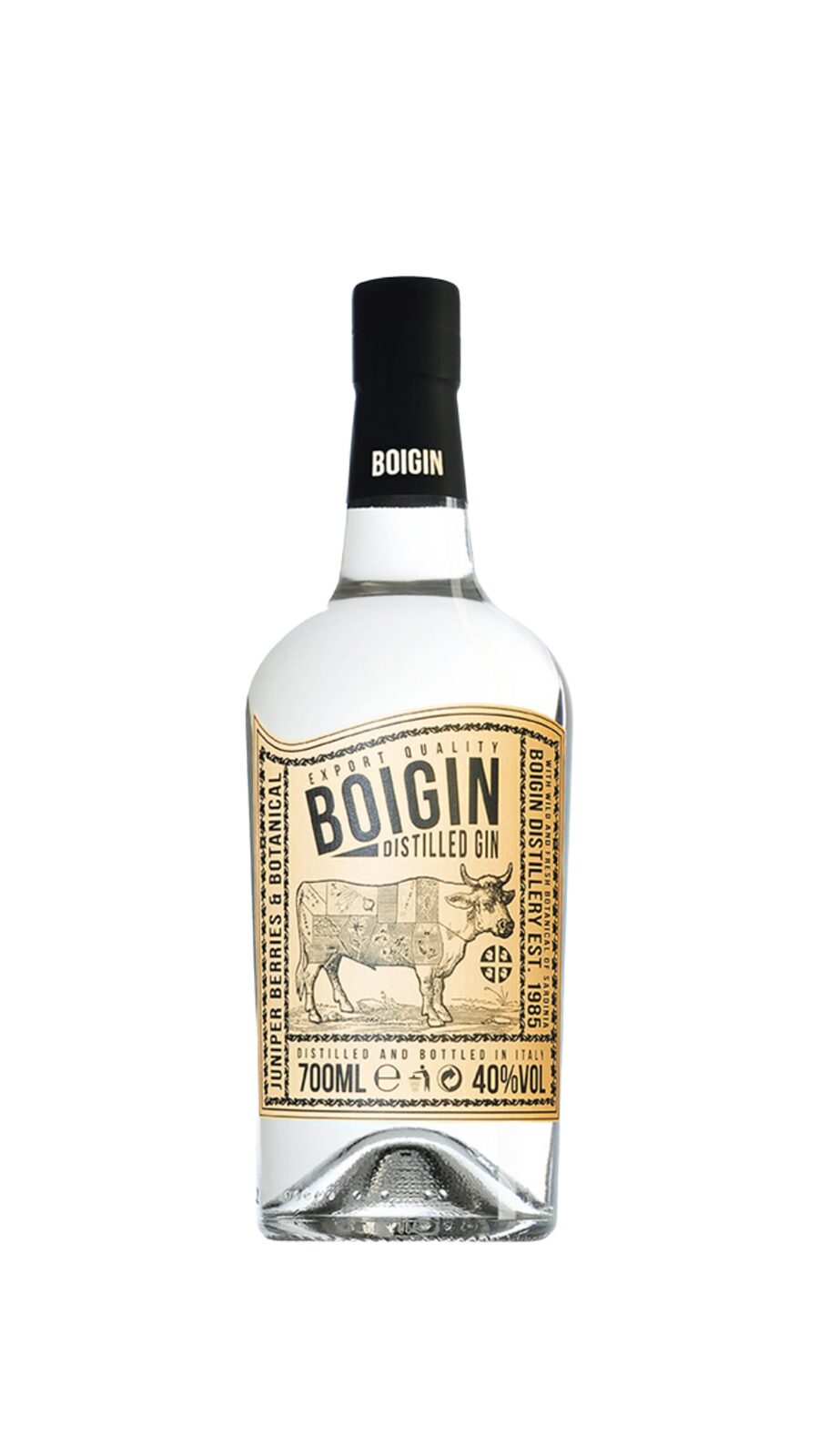 Boigin