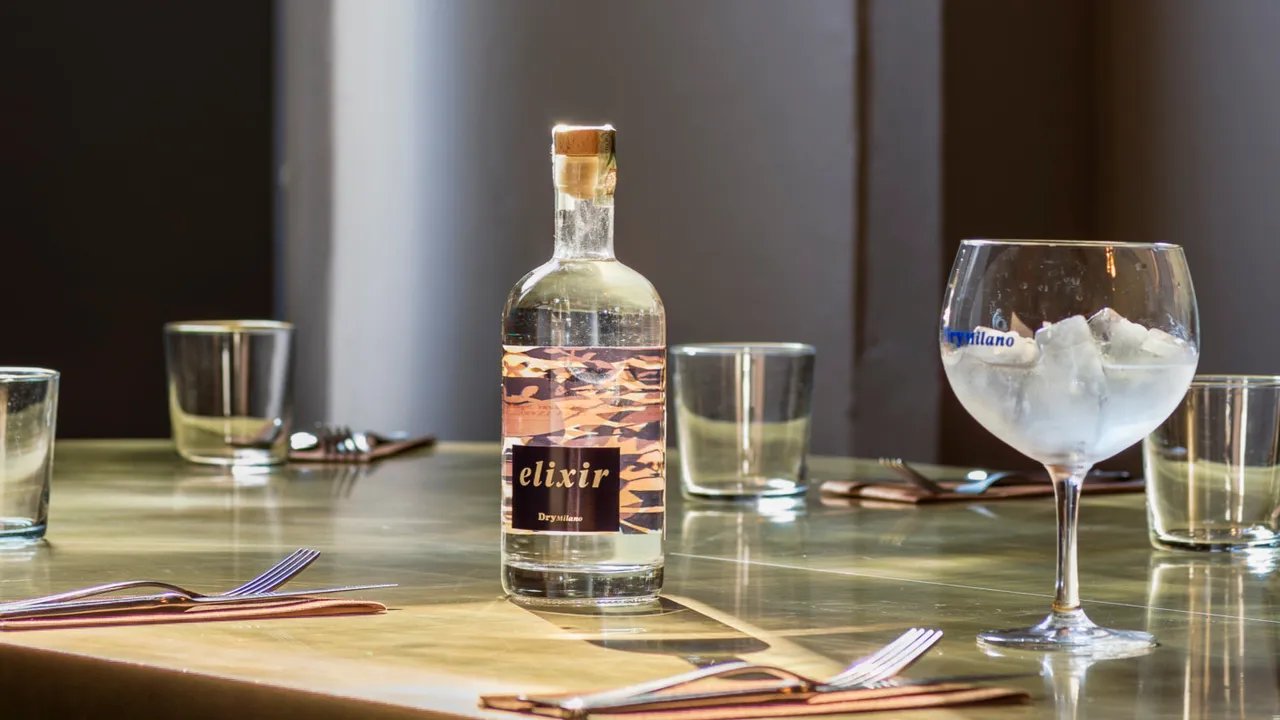 Dry Milano Elixir Gin