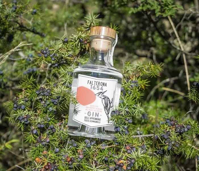 Falterona 1654 Gin