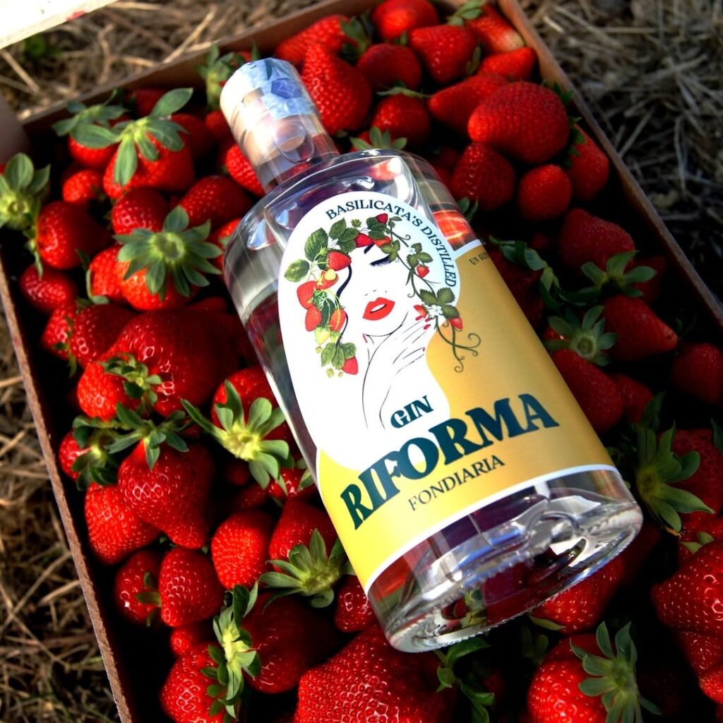 Gin Riforma Fondiaria