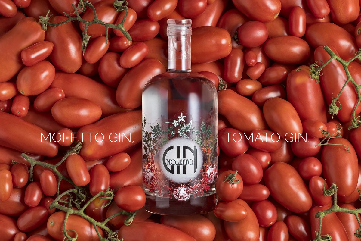 Moletto Gin