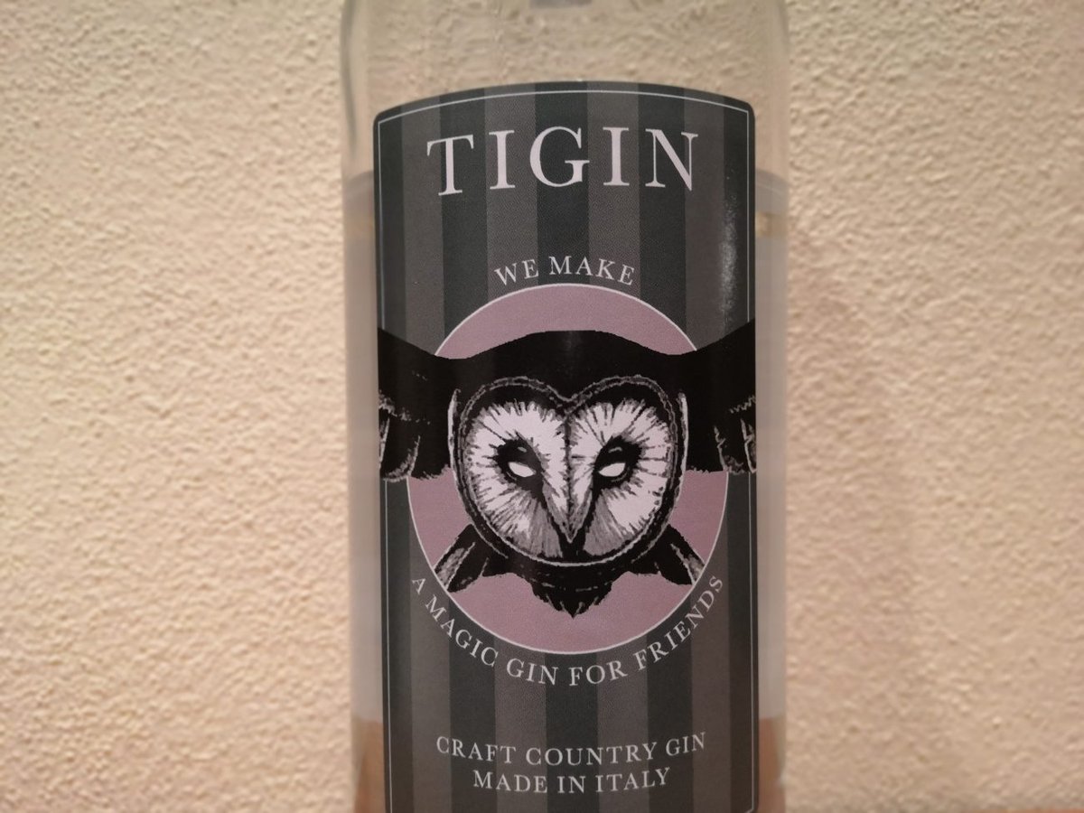 Tigin